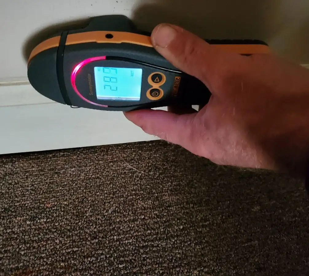 Moisture detection at baseboard during Sewage Cleanup & Sanitation in Marcy